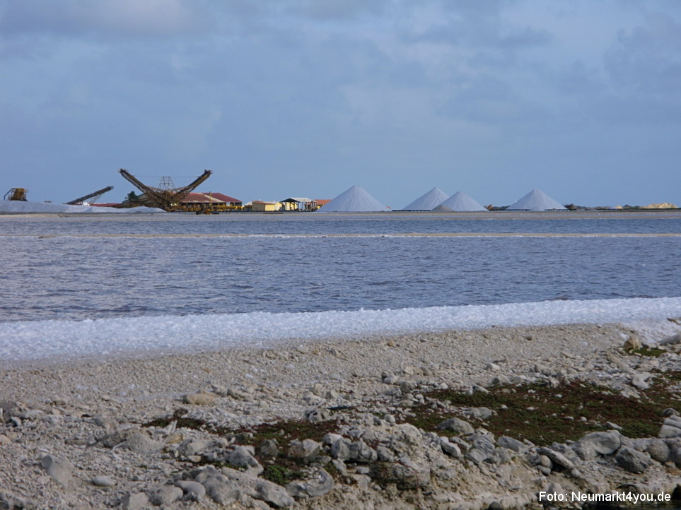 2009 Bonaire Insel